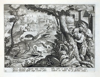 Tower Crane and their chicks swooping down on snakes, illustration from 